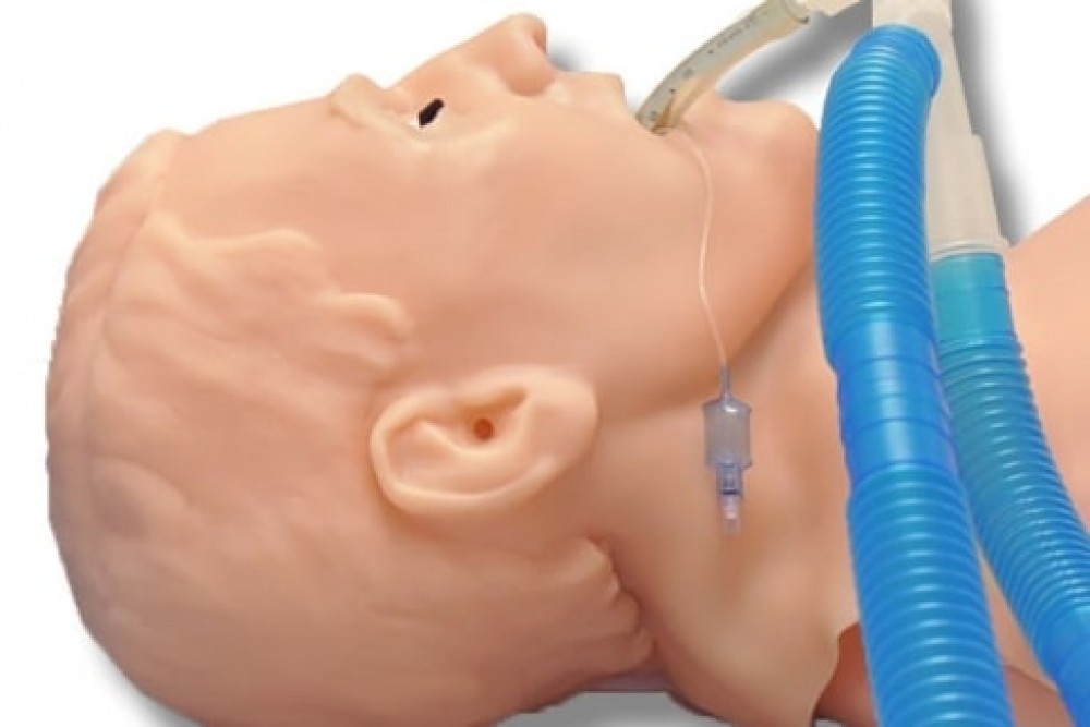 S315.500 Simulador Electrónico Ecológico de Torso para RCP