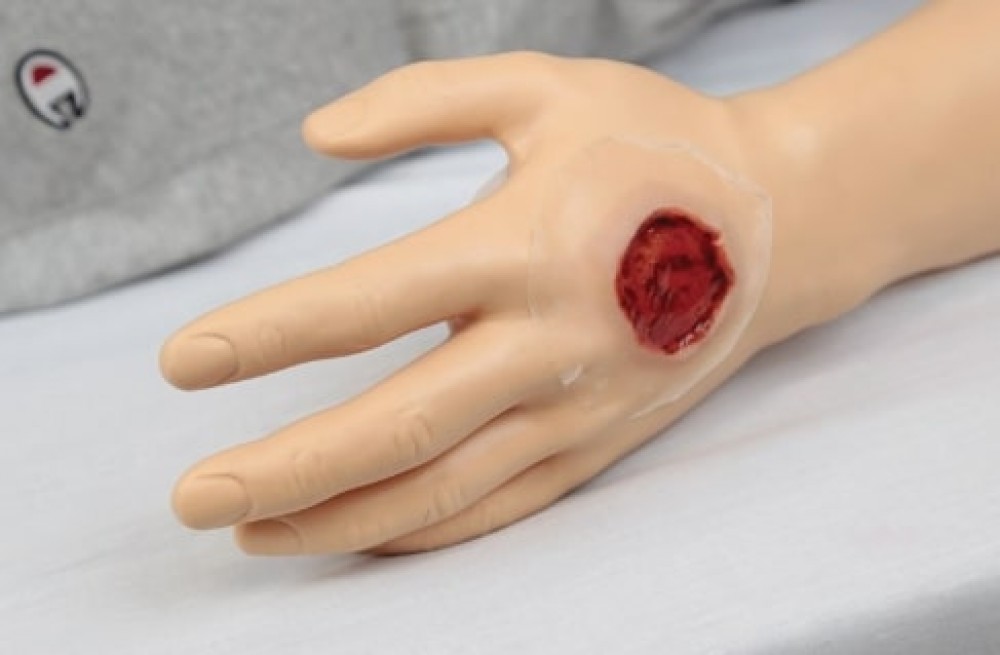 MW38 Simulador para la Evaluación de Involución Uterina