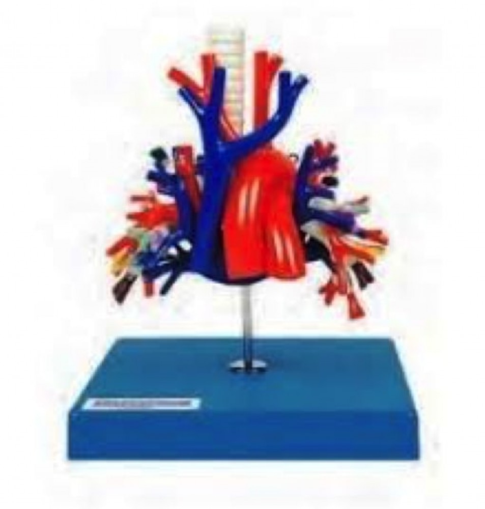 SIMULADOR DE CUIDADOS MULTIPROPOSITO DE PACIENTE