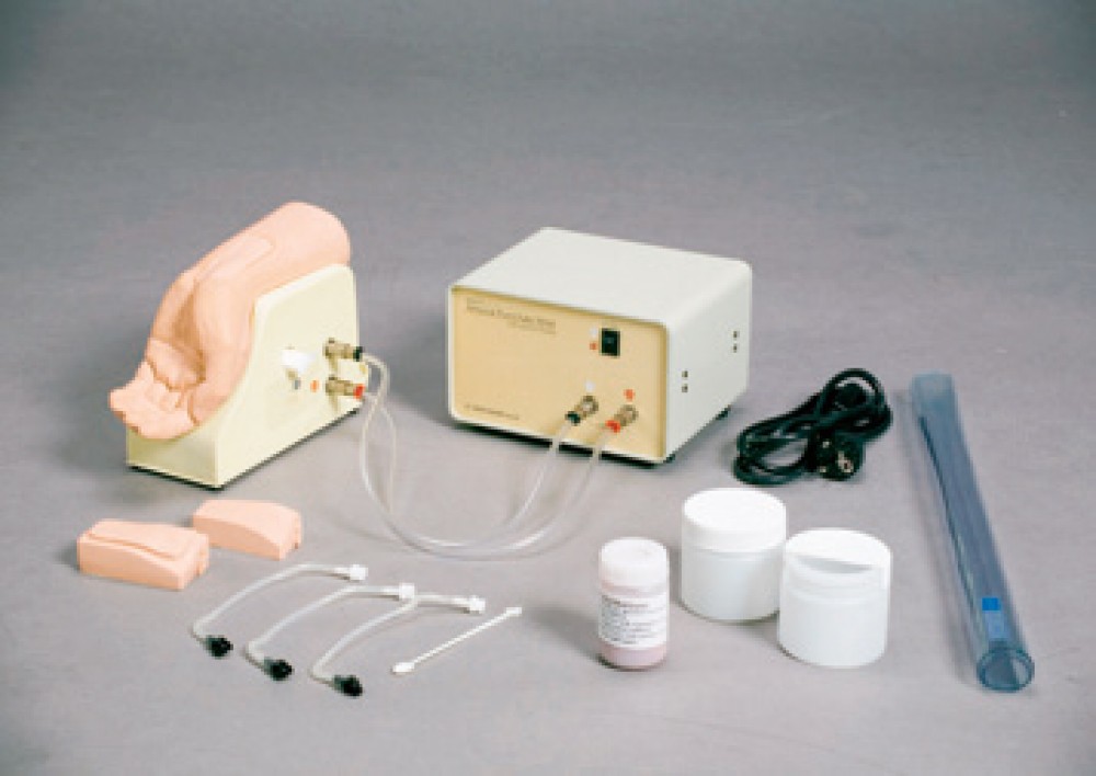 MODELO DE LOS ORGANOS REPRODUCTIVOS FEMENINOS