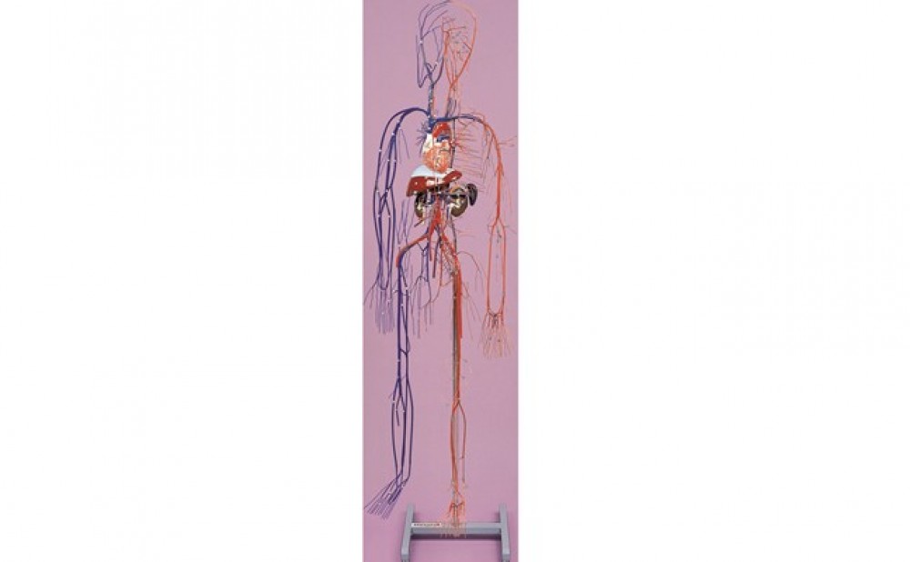 CHALECO DE SIMULACION DE MATERNIDAD