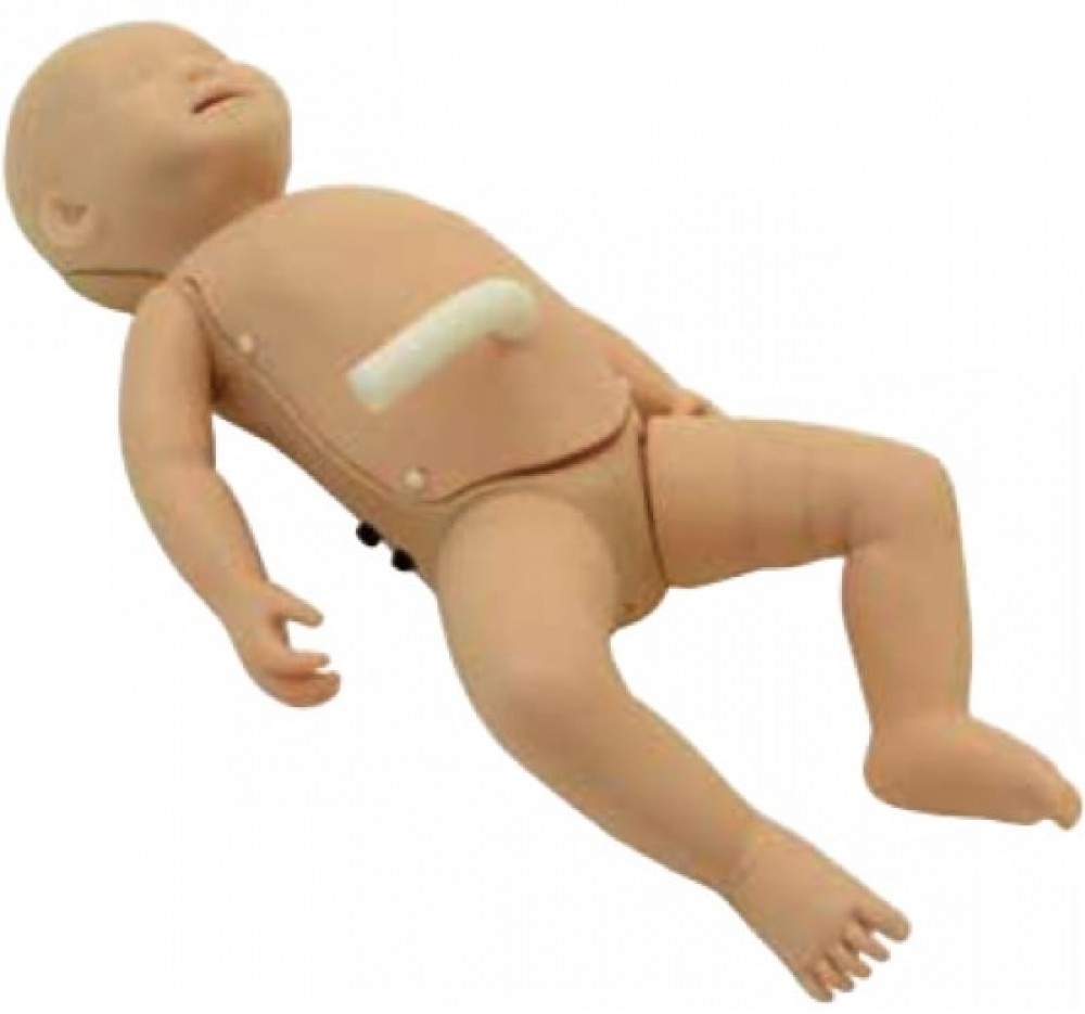 MODELO DE ENTRENAMIENTO DE COLONOSCOPIA