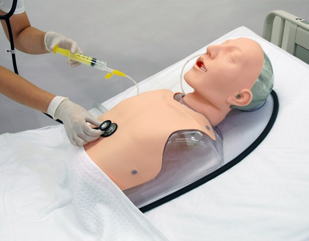 MODELO DE ENTRENAMIENTO DE DISECCION SUBMUCOSA ENDOSCOPICA