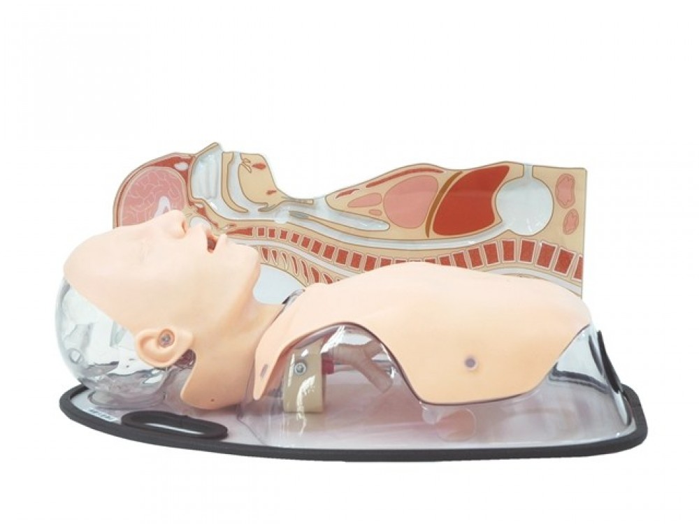 MODELO DE RECIEN NACIDO PARA PRACTICA DE CUIDADOS MULTIPROPOSITO