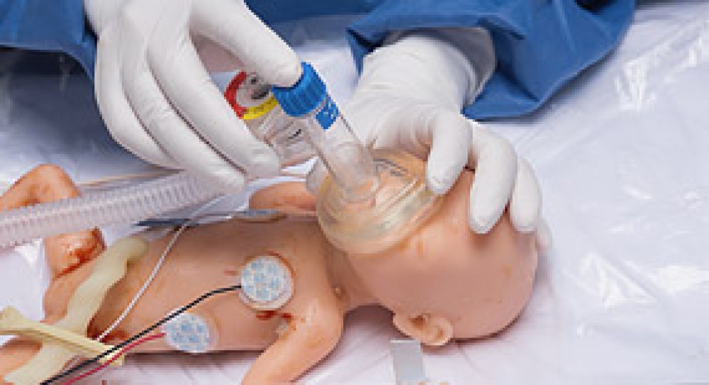 Base para sujetar válvula ahortica