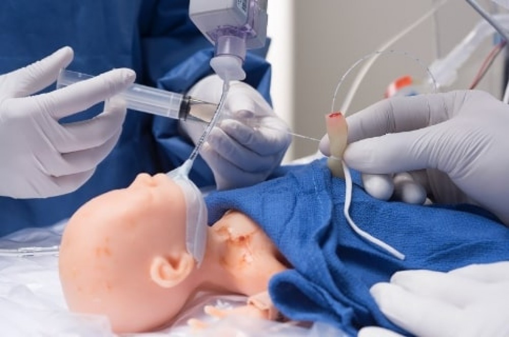 intestino de doble capa