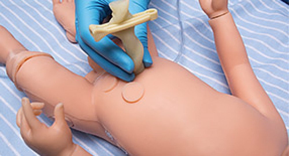 Modelo de Anastomosis vascular