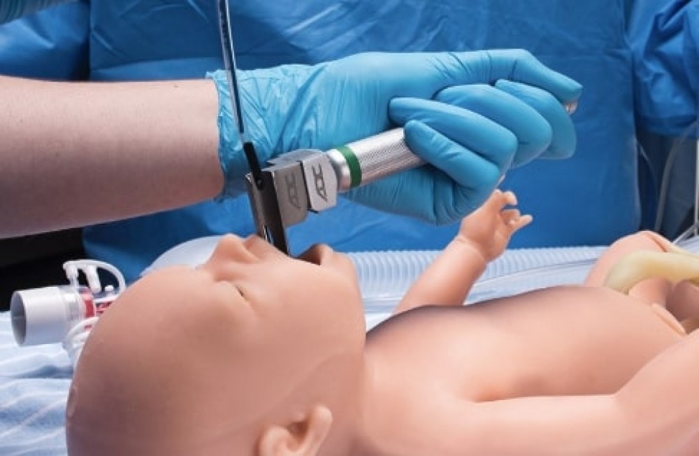 Paquete de muestras vasculares