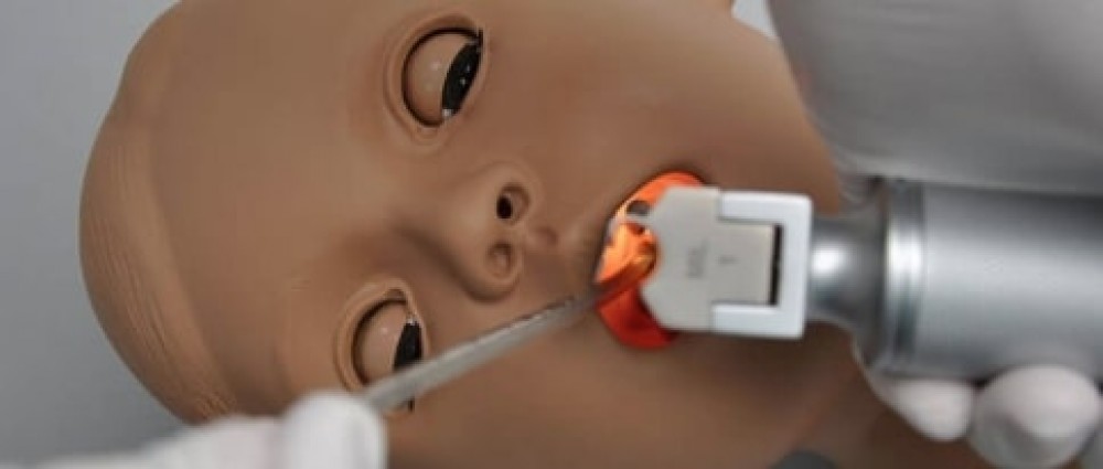 THE HUNGRY MANIKIN (MANIQUÍ HAMBRIENTO)