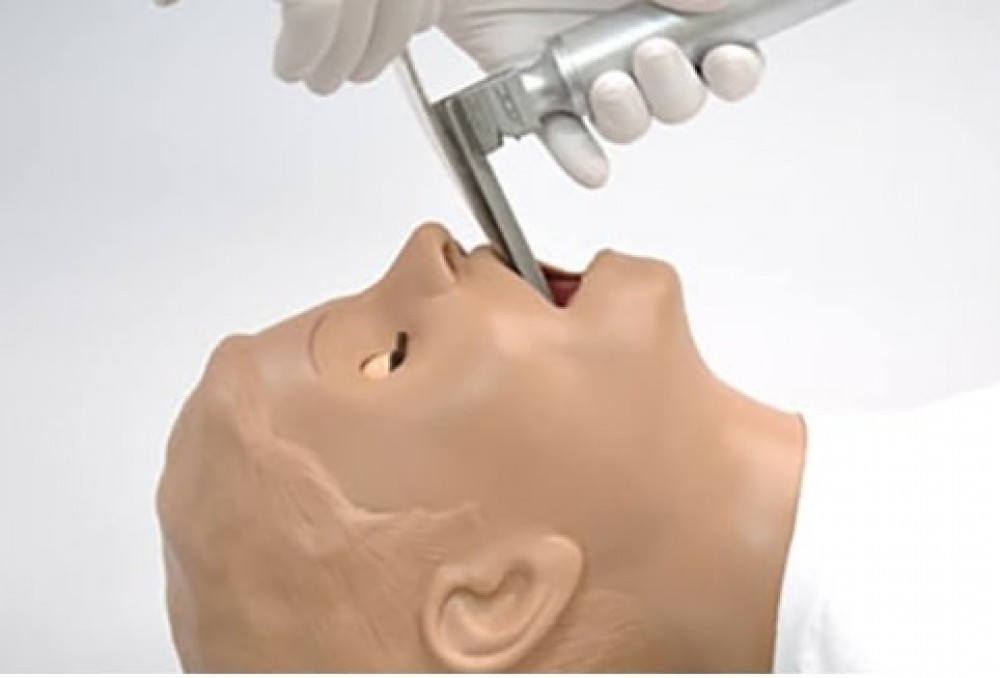 THE HUNGRY MANIKIN (MANIQUÍ HAMBRIENTO)