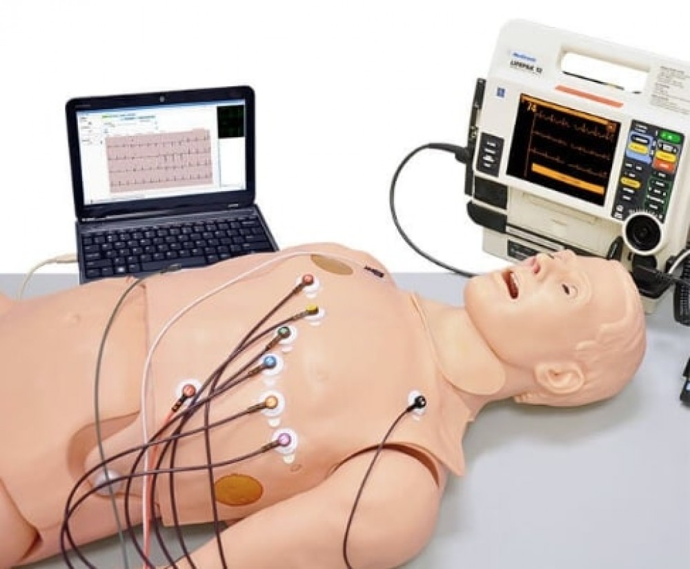 BRAZO DE ENTRENAMIENTO EN INYECCIÓN DE 1 AÑO