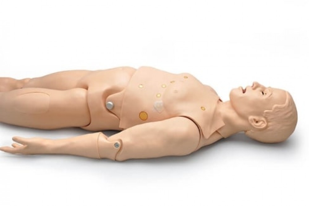 MÓDULO DE PALPACIÓN PARA MANIOBRAS DE LEOPOLD