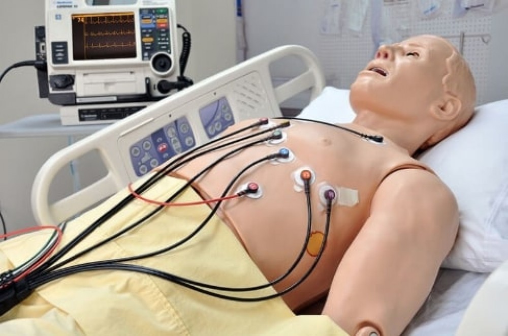 SIMULADOR GINECOLÓGICO GYN/AID